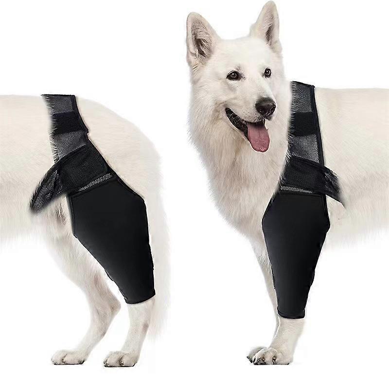 Adjustable Pet Knee Brace Adjustment Fixing Strap Injury Knee Support for ACL Tear and Hip Support