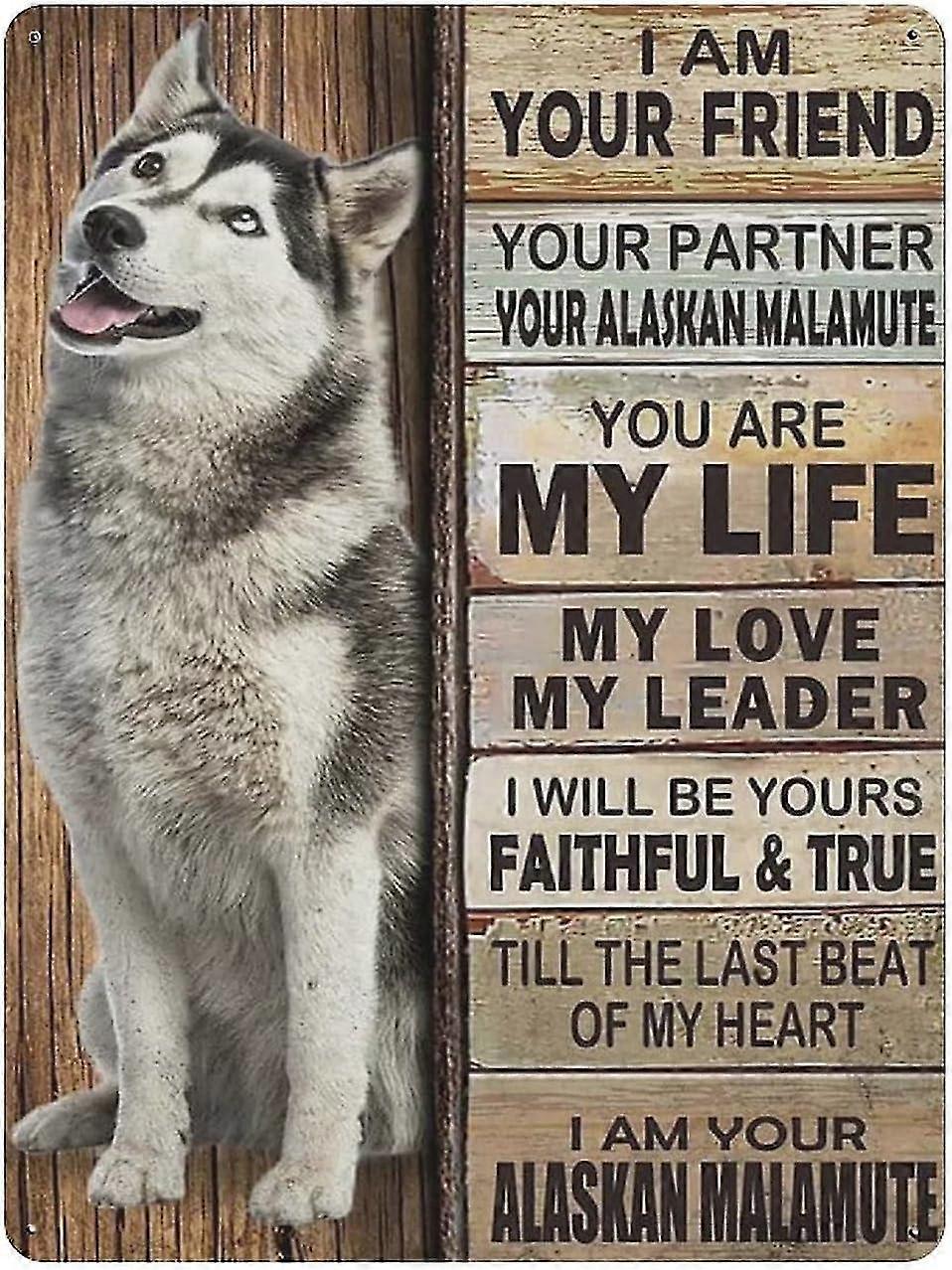 Placa de Metal Dachshund Dog Vintage Tin Poster Metal Sign 8x12 Polegadas OU 12x16 Polegadas Modo 1711