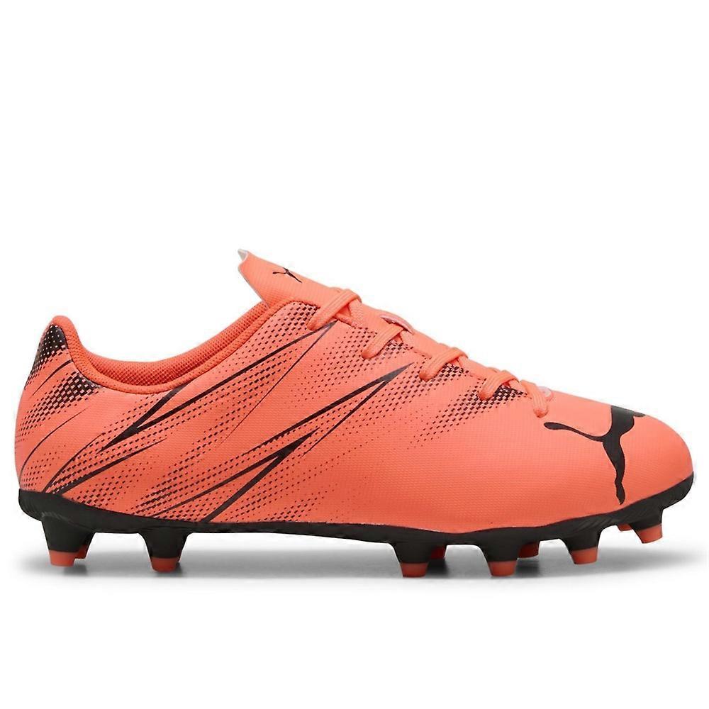 Shoes Puma Attacanto 10748014