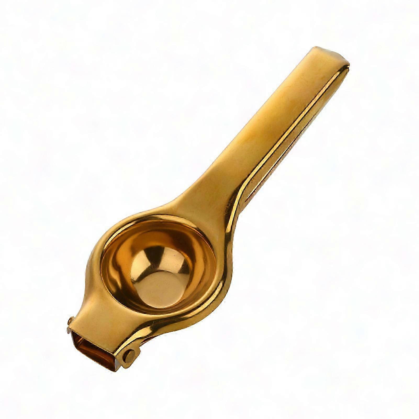 Stainless Steel Manual Fruit Juicer with Multiple Filters - Dishwasher Safe Hand Press for Fast Citrus & Lemon Squeezing