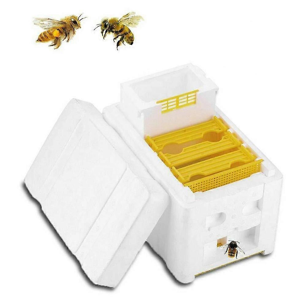Beehive Tool Bee Mating Box For Beekeeping Handling Rectangular Practical Design 24.1*14.9cm 1Set