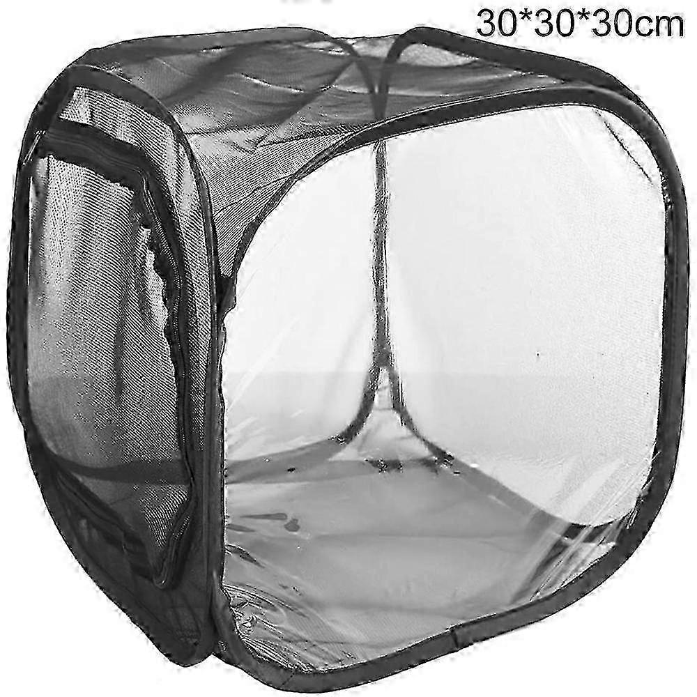 Foldable Observation Room - Insect-proof Net Box for Plants and Butterflies
