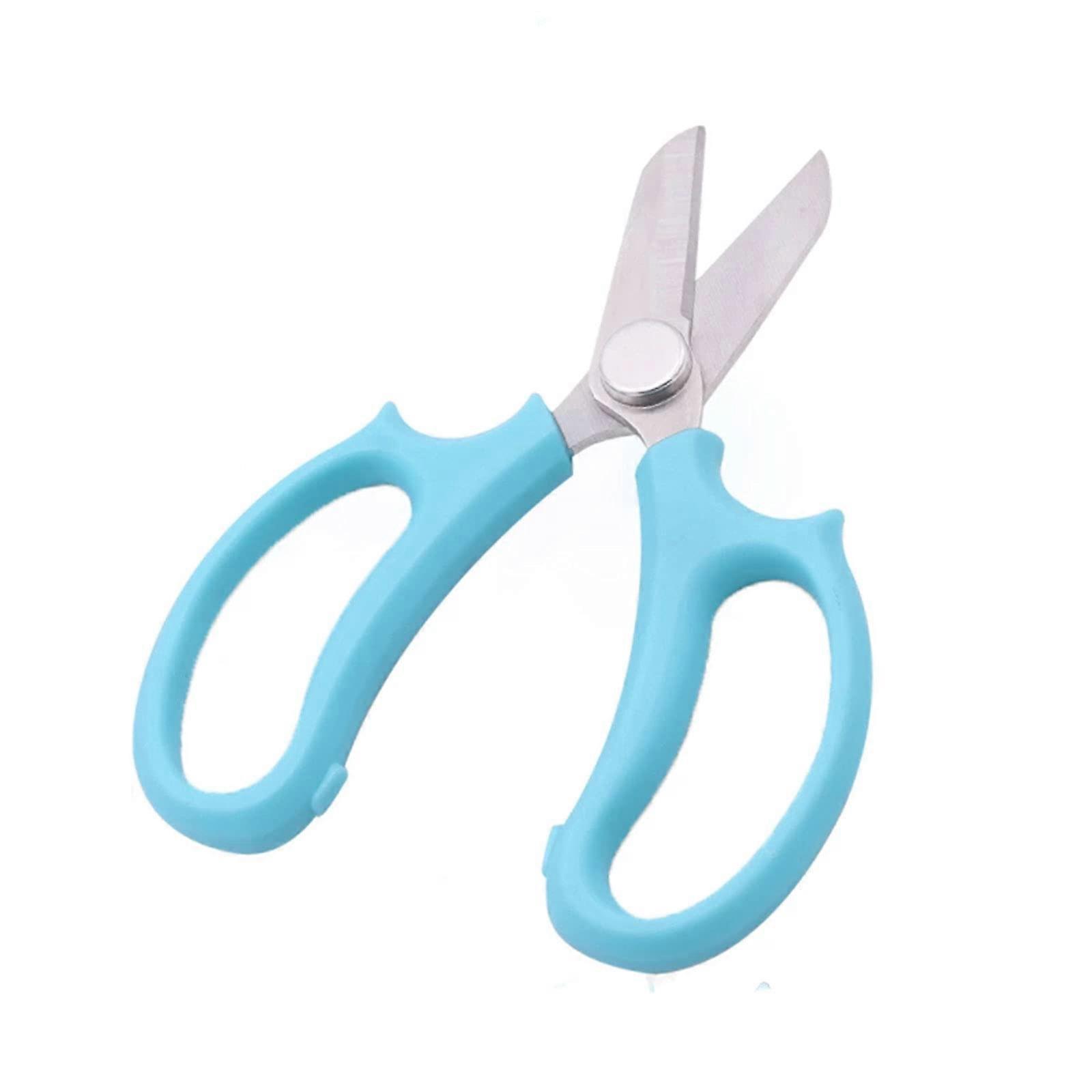 Professional Pruning Shears with Sharp Stainless Steel Blades, Ergonomic Grip for Precise Cutting