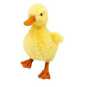 Ducky Teddy All About Nature