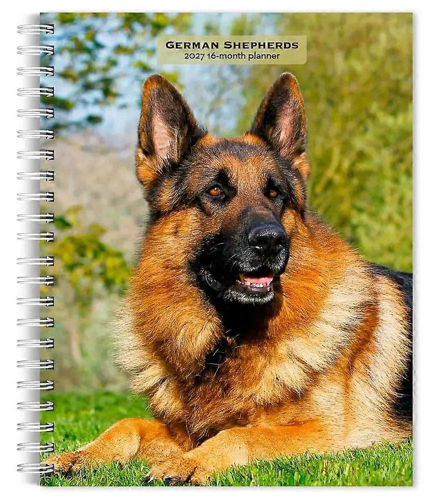 Browntrout German Shepherd Agenda 2026