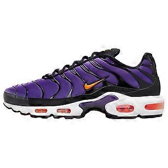 Nike Air Max Plus OG Voltage Purple 2024 DX0755-500