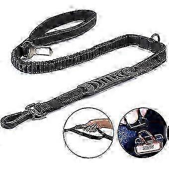 Bungee Walking Leash For Dogs